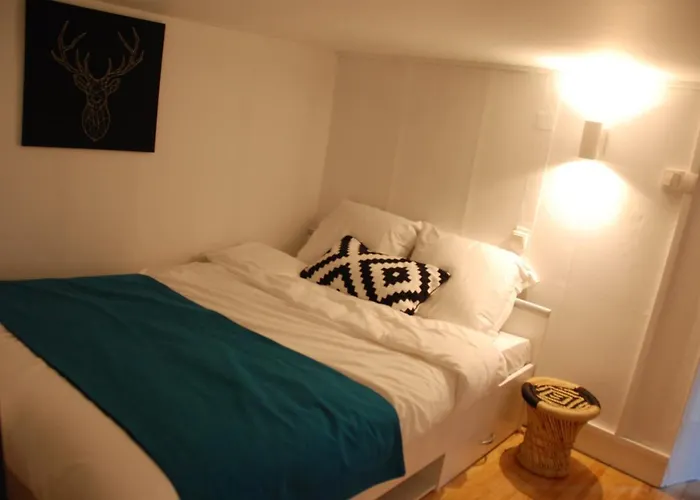 Le Typique - Coeur De Toulouse